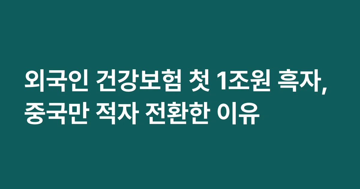 외국인 건강보험 첫 1조원 흑자, 중국만 적자 전환한 이유