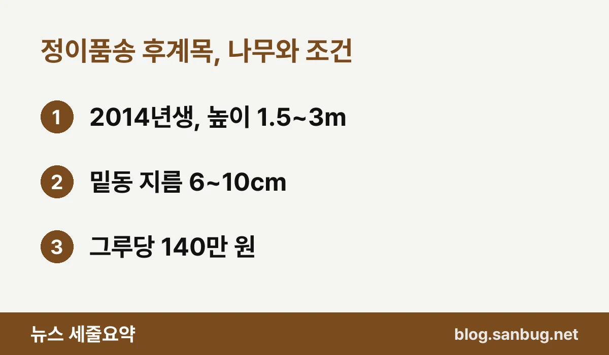 정이품송 후계목, 나무와 조건 — 2014년생, 높이 1.5~3m / 밑동 지름 6~10㎝ / 그루당 140만 원